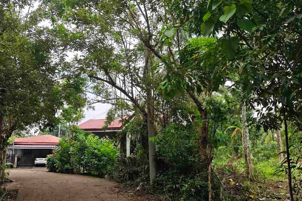 Land for Sale in Bucal, Sariaya, Quezon – photo 6
