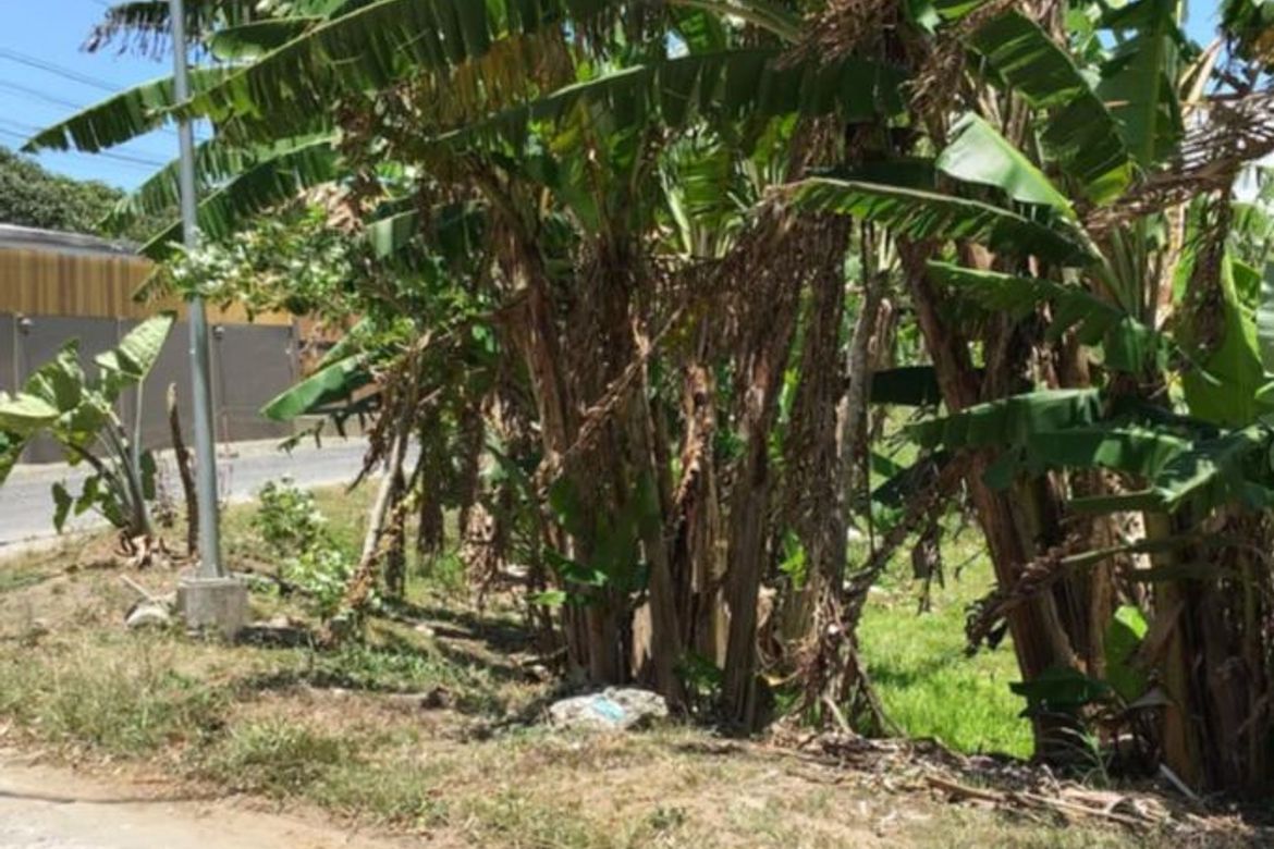 Land for Sale in Bucal, Silang, Cavite – photo 7