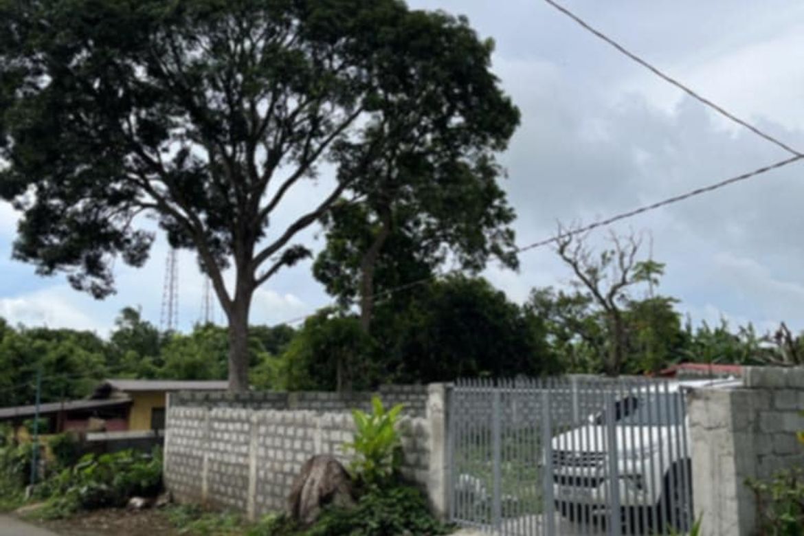 Land for Sale in Buck Estate, Alfonso, Cavite – photo 2