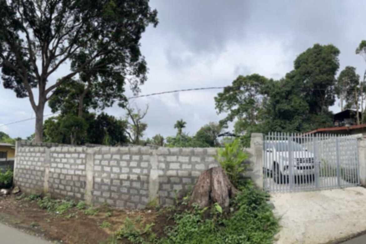 Land for Sale in Buck Estate, Alfonso, Cavite – photo 4