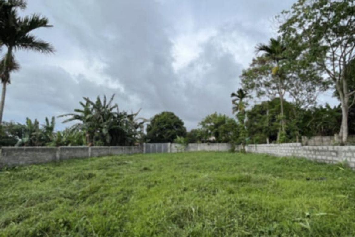 Land for Sale in Buck Estate, Alfonso, Cavite – photo 5