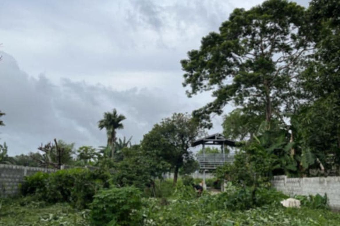 Land for Sale in Buck Estate, Alfonso, Cavite – photo 6