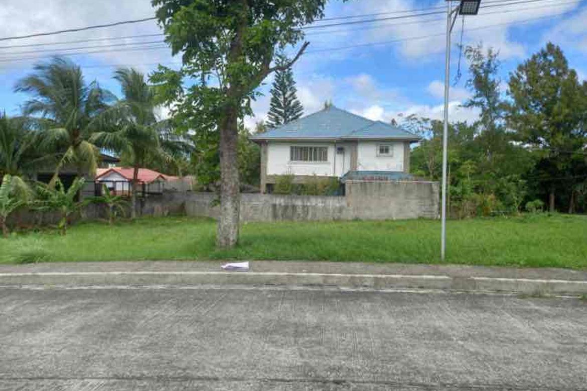 Land for Sale in Buck Estate, Alfonso, Cavite – photo 2