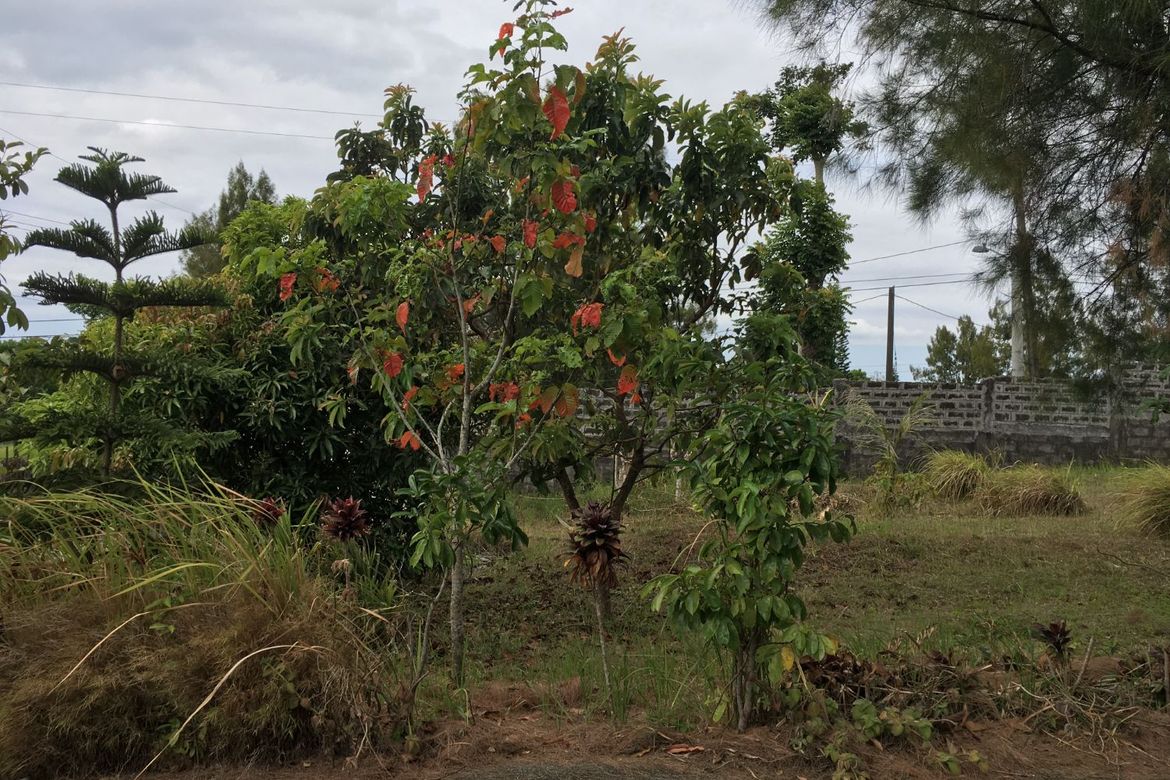 Land for Sale in Buck Estate, Alfonso, Cavite – photo 3