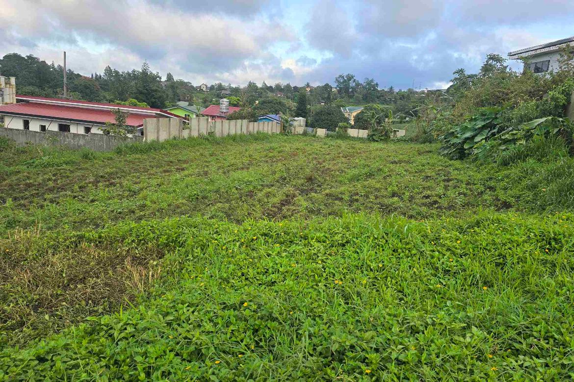 Land for Sale in Buck Estate, Alfonso, Cavite