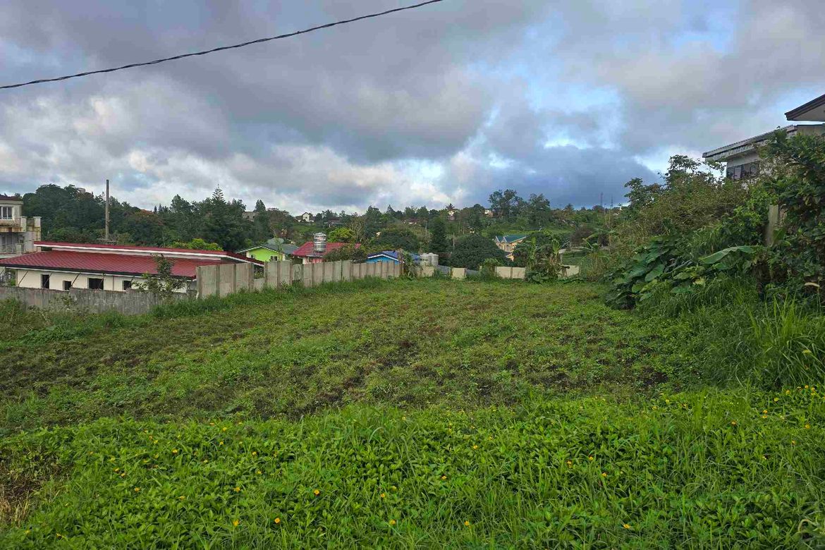 Land for Sale in Buck Estate, Alfonso, Cavite – photo 2