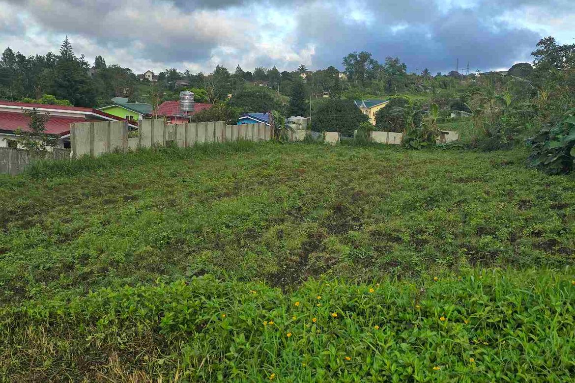 Land for Sale in Buck Estate, Alfonso, Cavite – photo 3