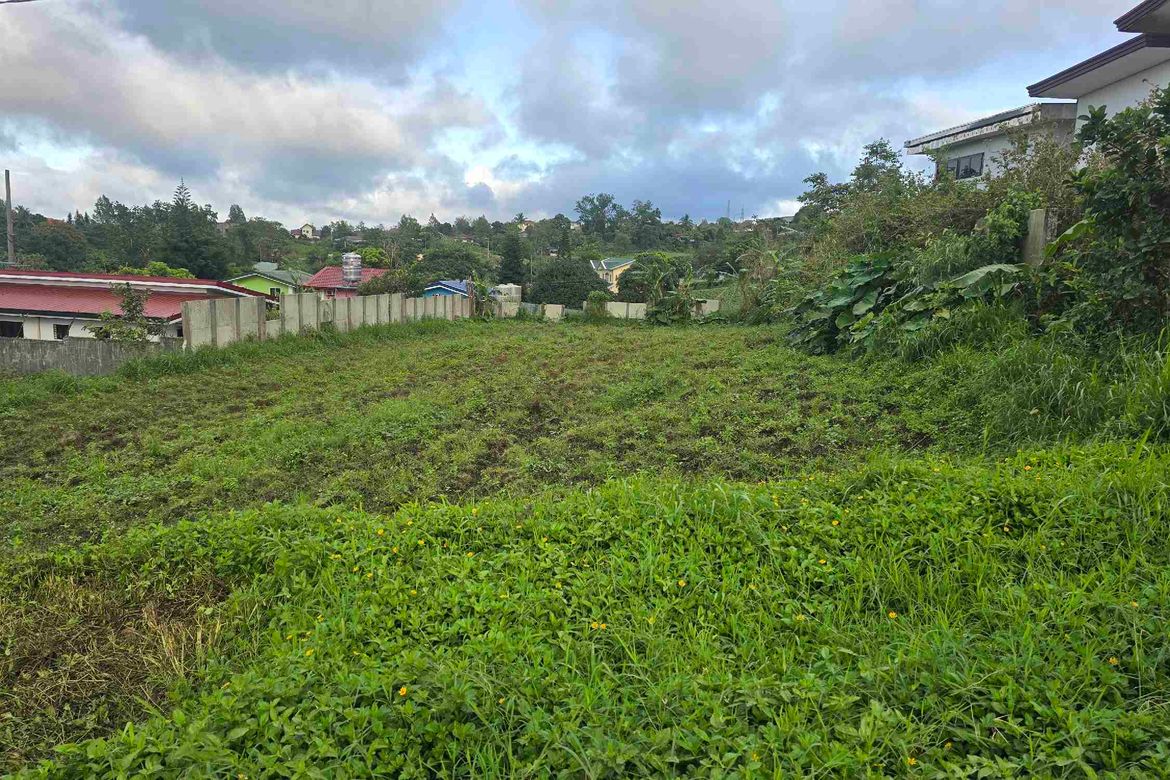 Land for Sale in Buck Estate, Alfonso, Cavite – photo 4