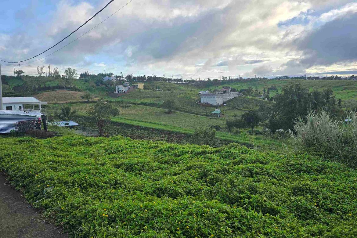 Land for Sale in Buck Estate, Alfonso, Cavite – photo 5