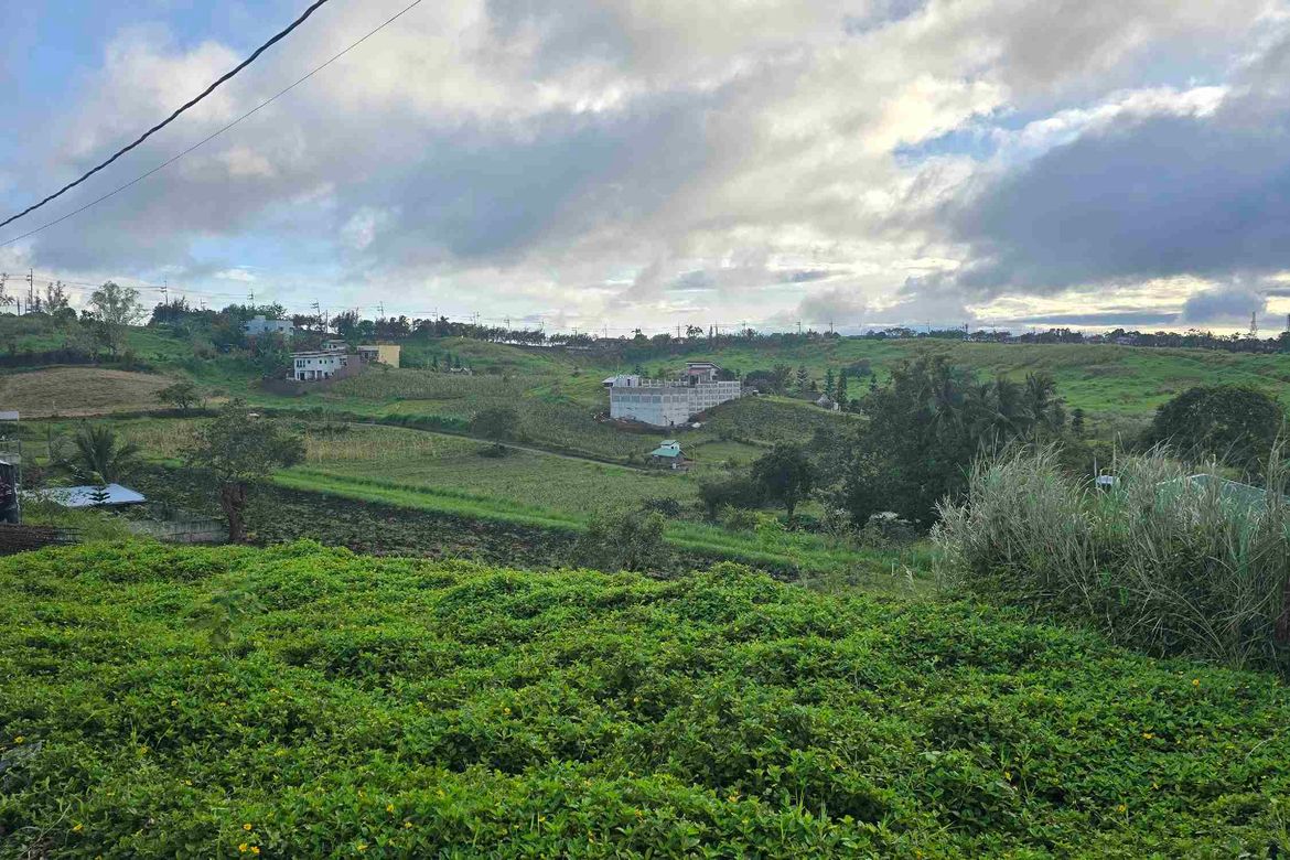 Land for Sale in Buck Estate, Alfonso, Cavite – photo 6