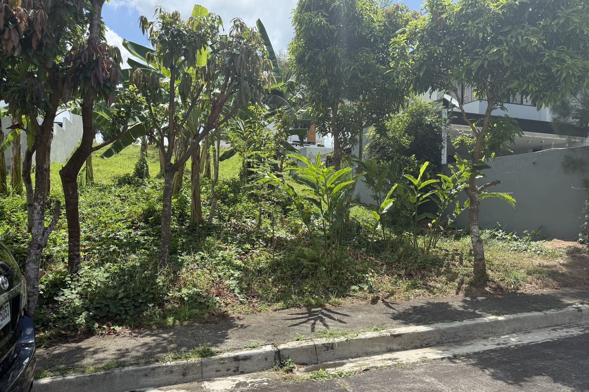 Land for Sale in Buck Estate, Alfonso, Cavite