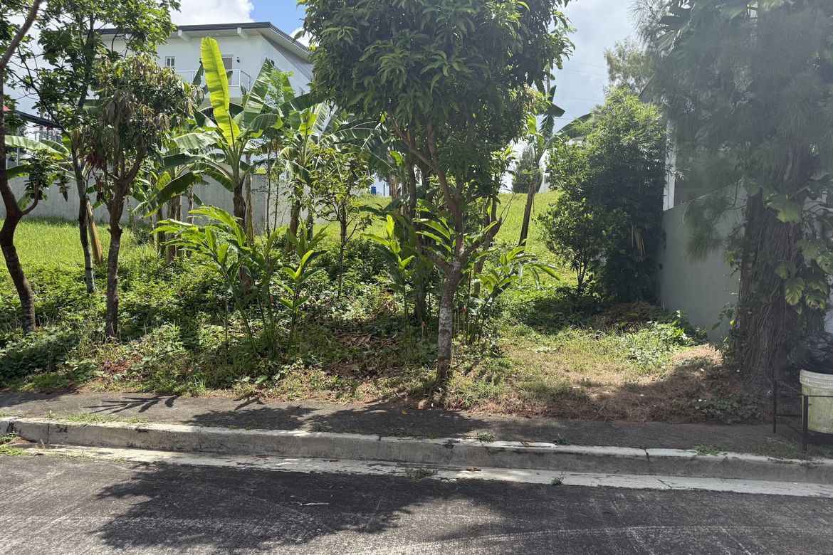 Land for Sale in Buck Estate, Alfonso, Cavite – photo 2