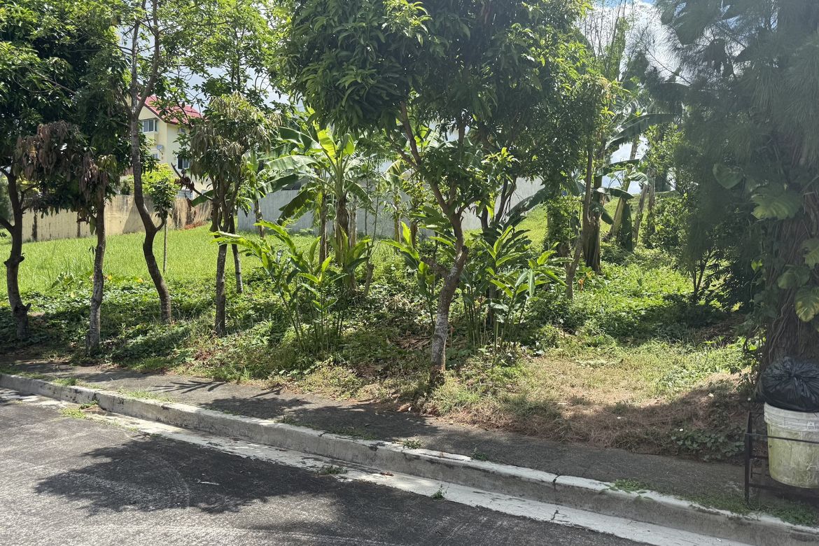 Land for Sale in Buck Estate, Alfonso, Cavite – photo 3