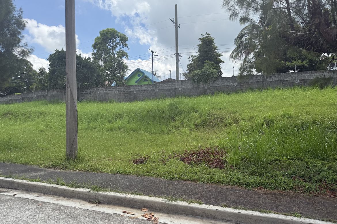 Land for Sale in Buck Estate, Alfonso, Cavite – photo 2