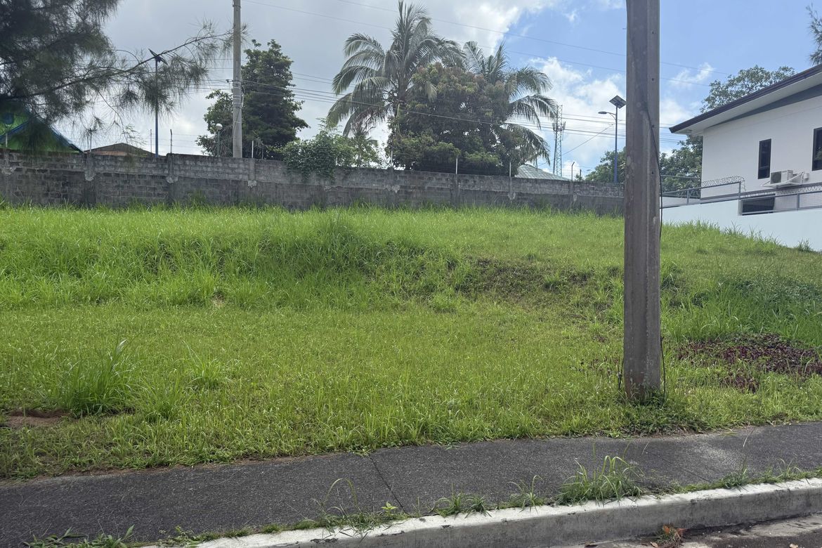 Land for Sale in Buck Estate, Alfonso, Cavite – photo 4