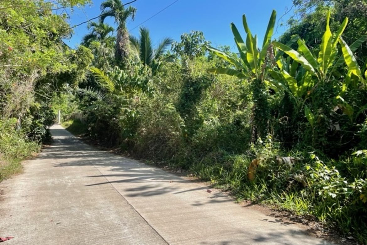 Land for Sale in Buck Estate, Alfonso, Cavite