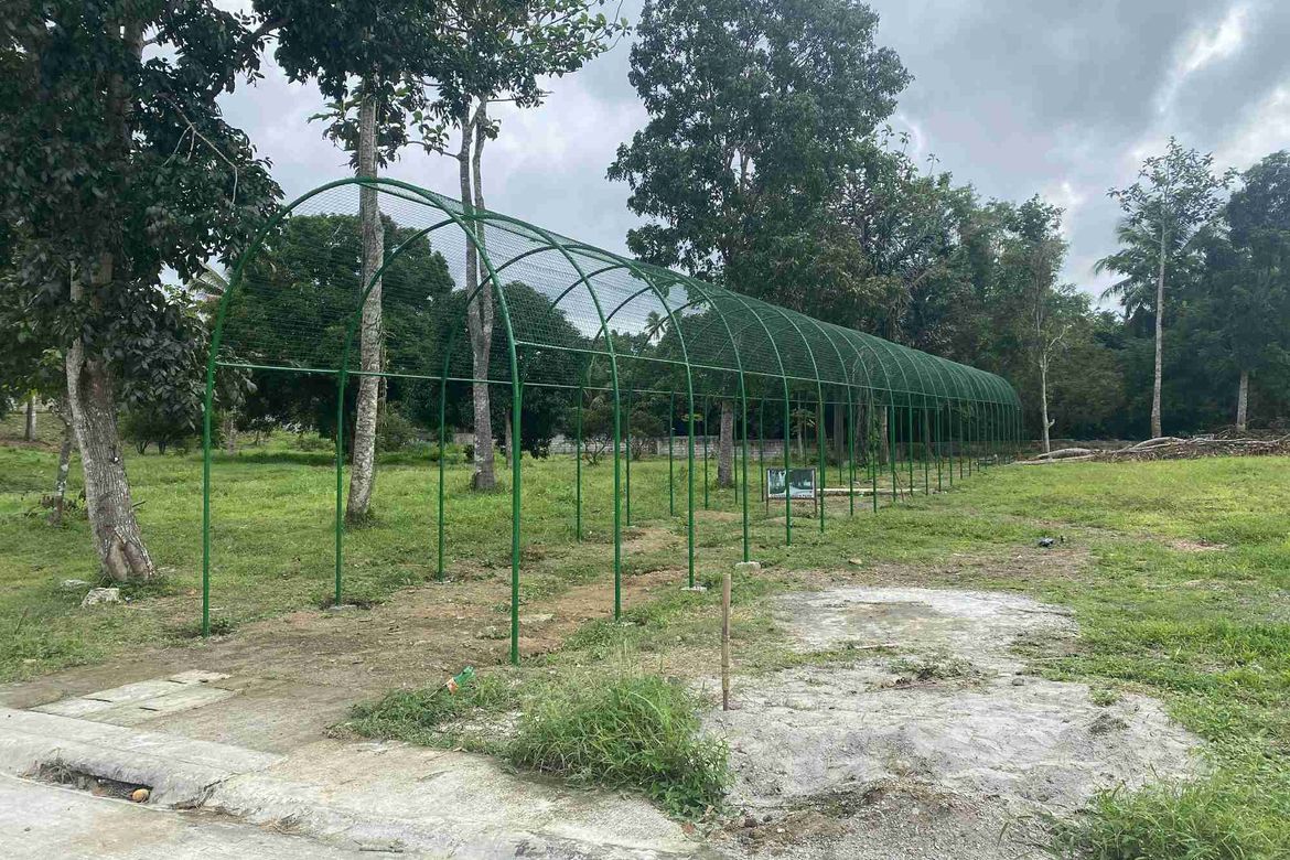 Land for Sale in Buck Estate, Alfonso, Cavite – photo 5