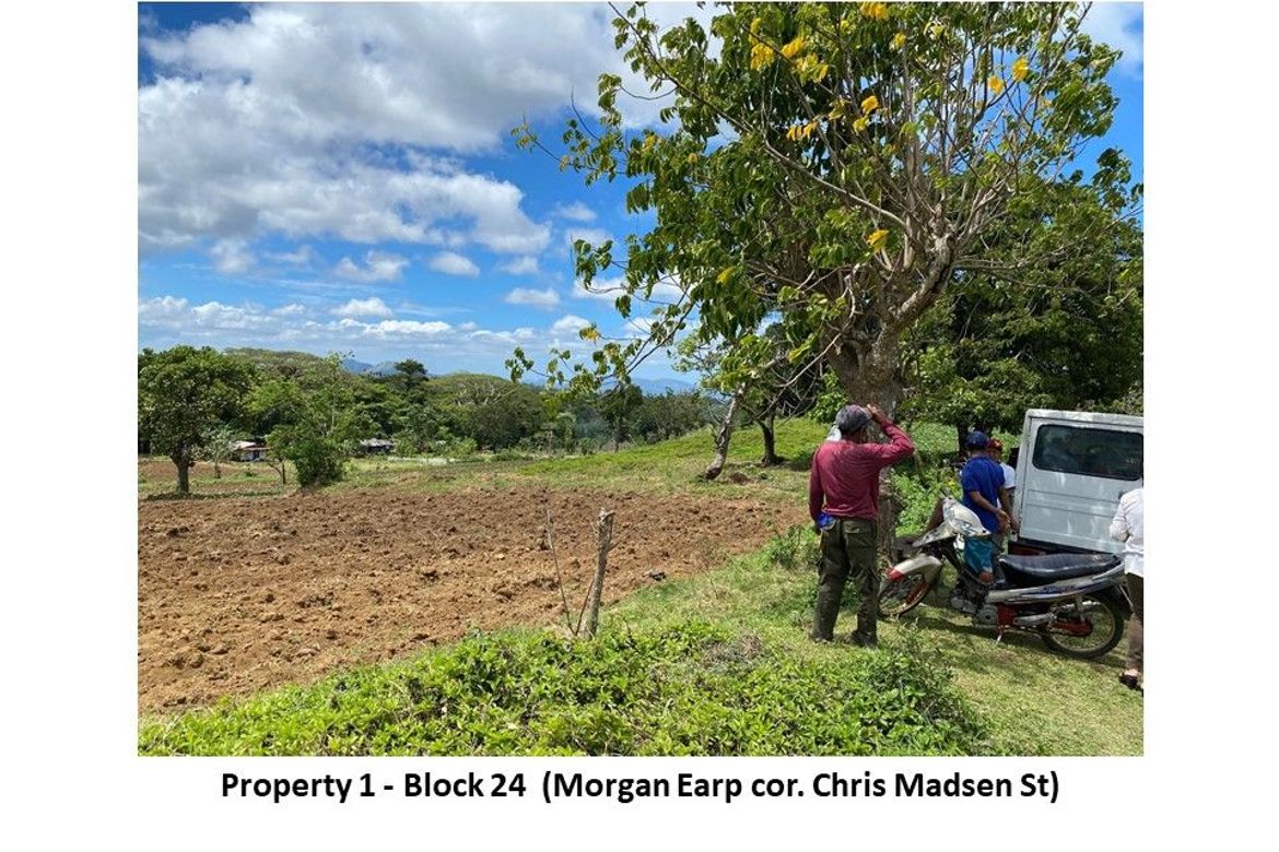 Land for Sale in Buck Estate, Alfonso, Cavite – photo 2