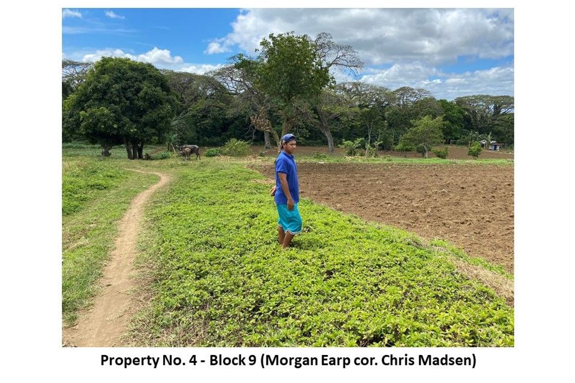 Land for Sale in Buck Estate, Alfonso, Cavite – photo 3