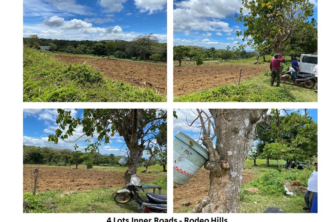 Land for Sale in Buck Estate, Alfonso, Cavite – photo 4