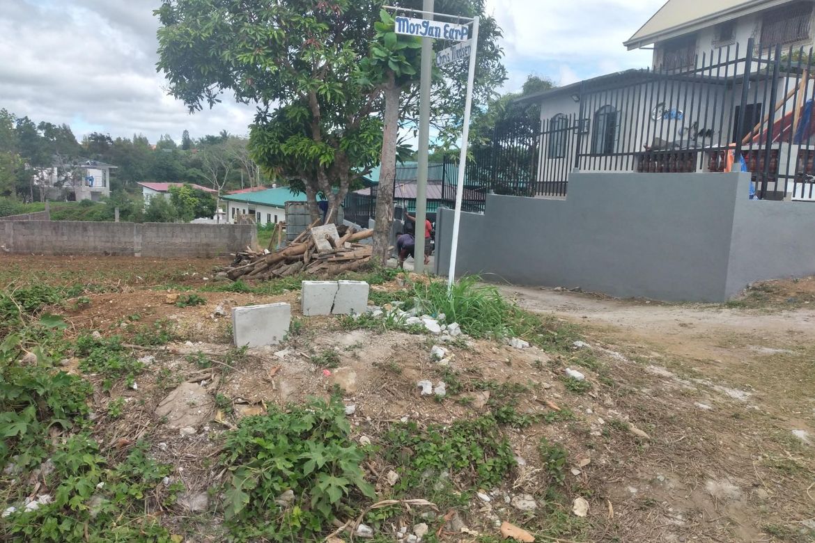 Land for Sale in Buck Estate, Alfonso, Cavite – photo 5