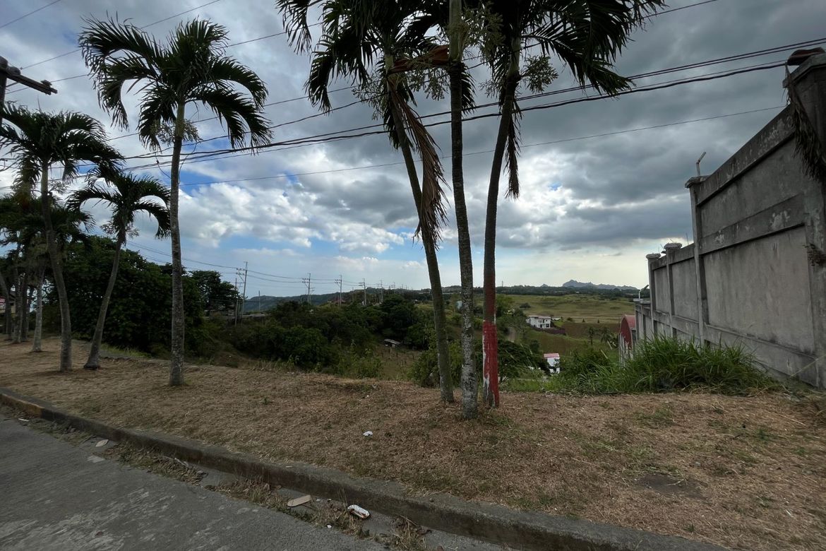 Land for Sale in Buck Estate, Alfonso, Cavite – photo 3
