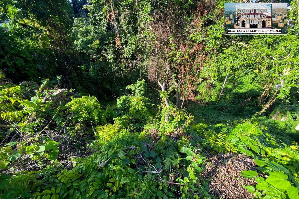 Land for Sale in Budla-An, Cebu City, Cebu – photo 7