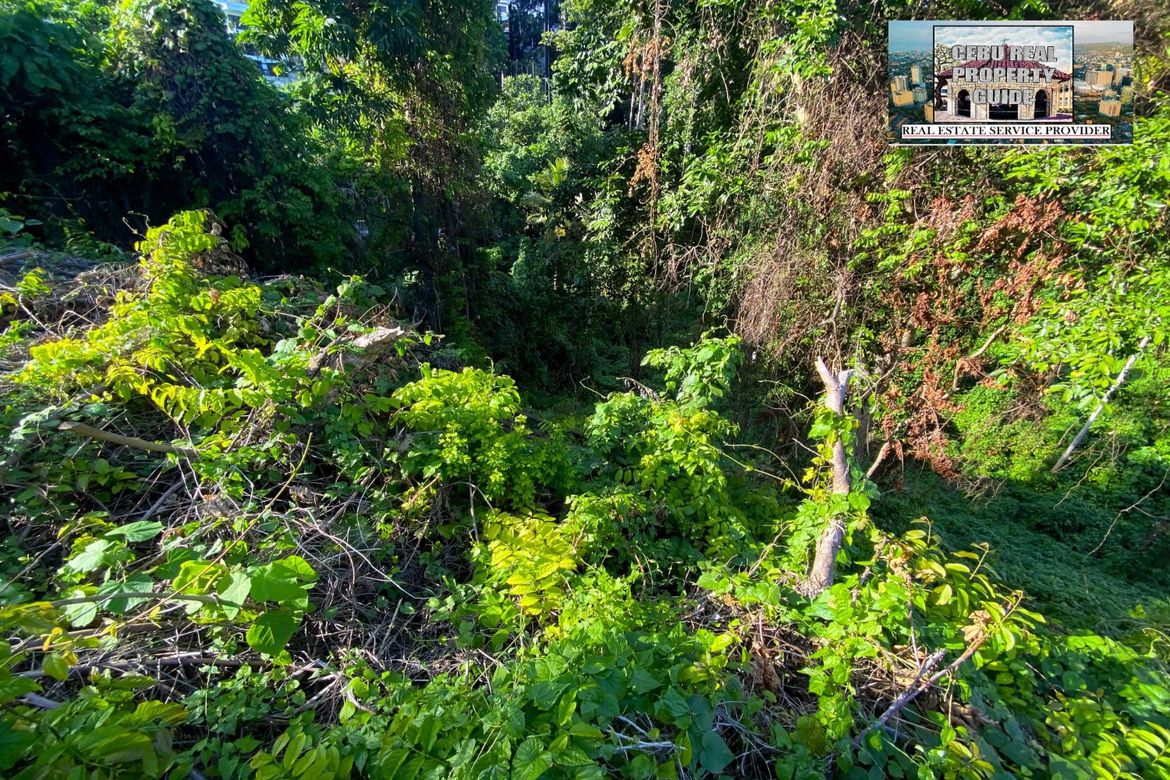 Land for Sale in Budla-An, Cebu City, Cebu – photo 8
