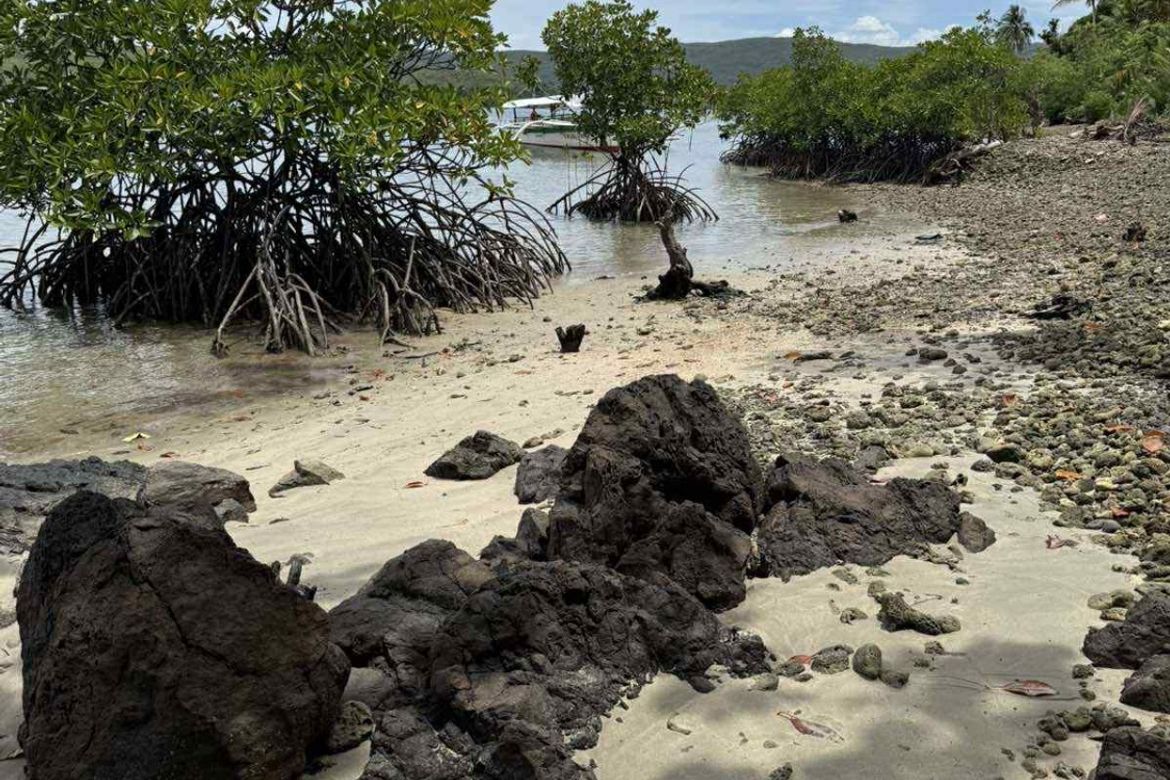Land for Sale in Buenavista, Dapa, Surigao del Norte – photo 2