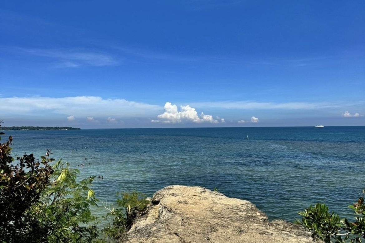 Land for Sale in Buenavista, Escalante, Negros Occidental – photo 2