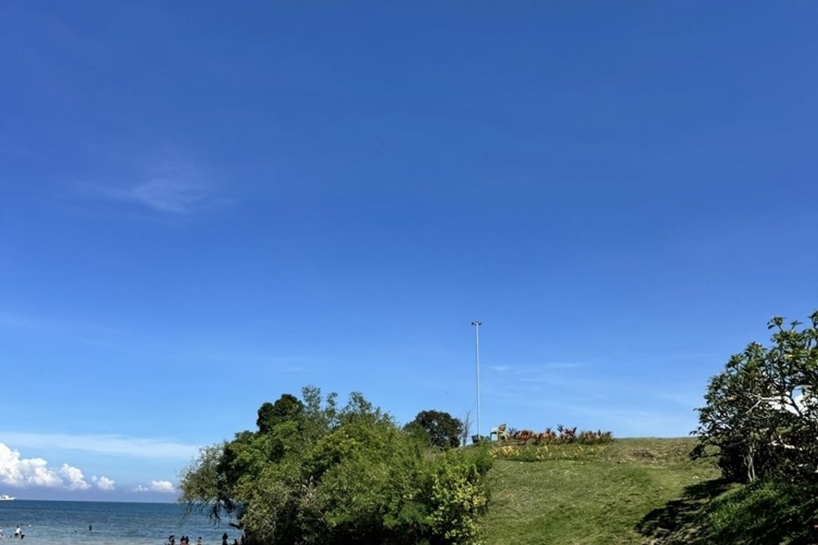 Land for Sale in Buenavista, Escalante, Negros Occidental – photo 3