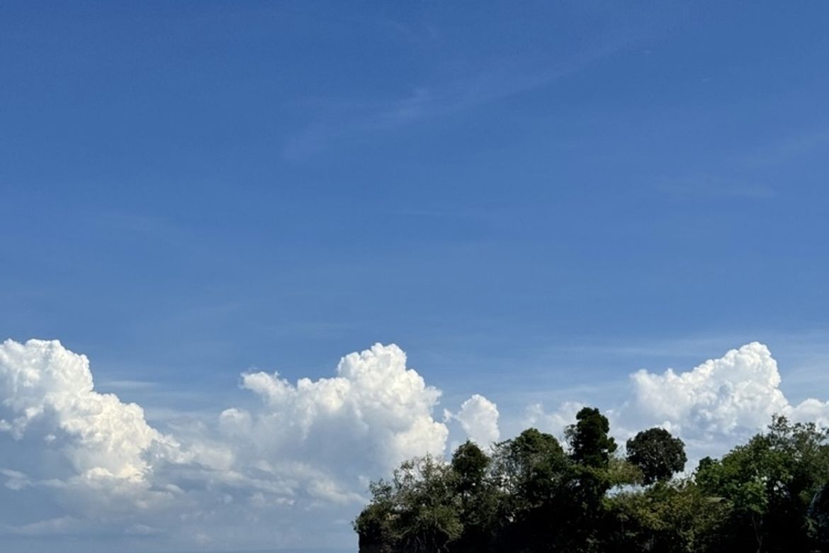 Land for Sale in Buenavista, Escalante, Negros Occidental – photo 8