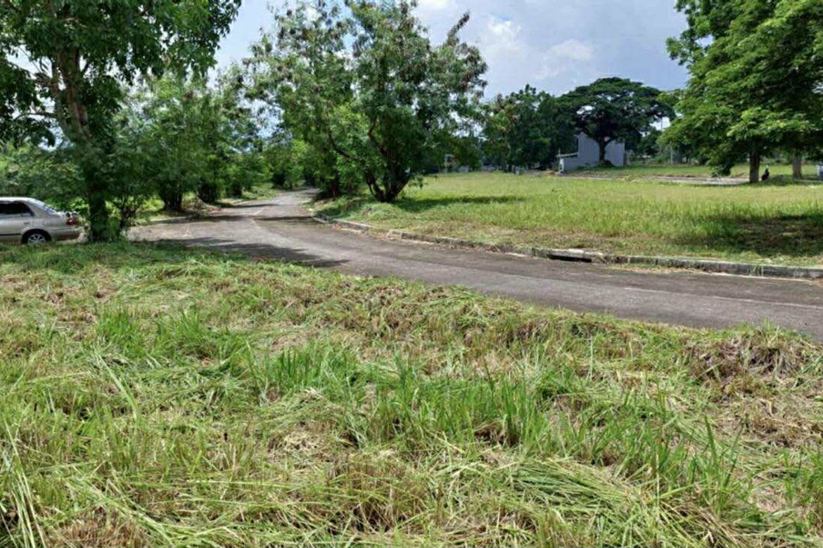 Land for Sale in Buenavista I, General Trias, Cavite