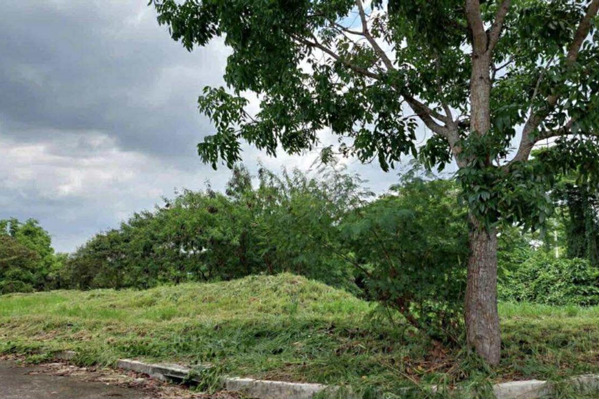Land for Sale in Buenavista I, General Trias, Cavite – photo 5