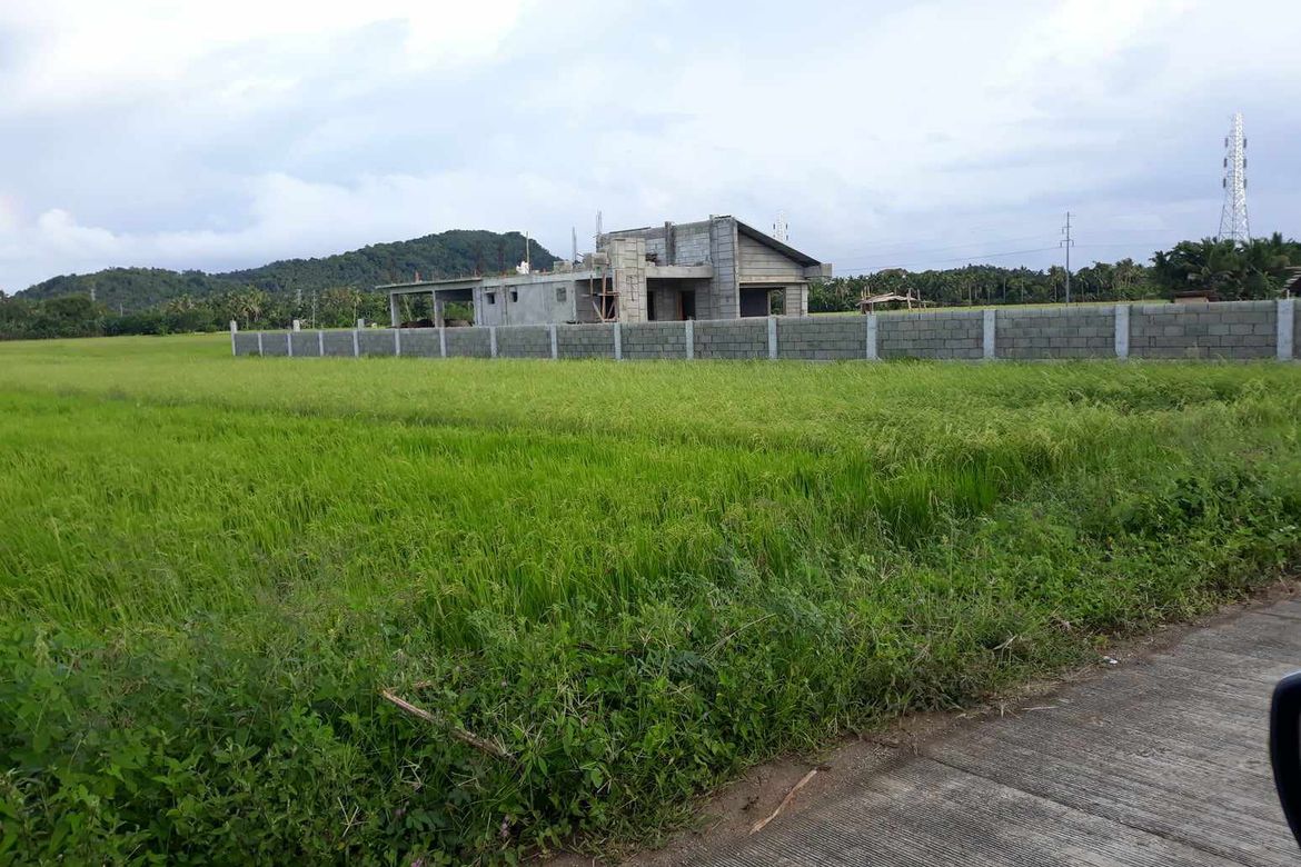 Land for Sale in Buenavista, Nabas, Aklan