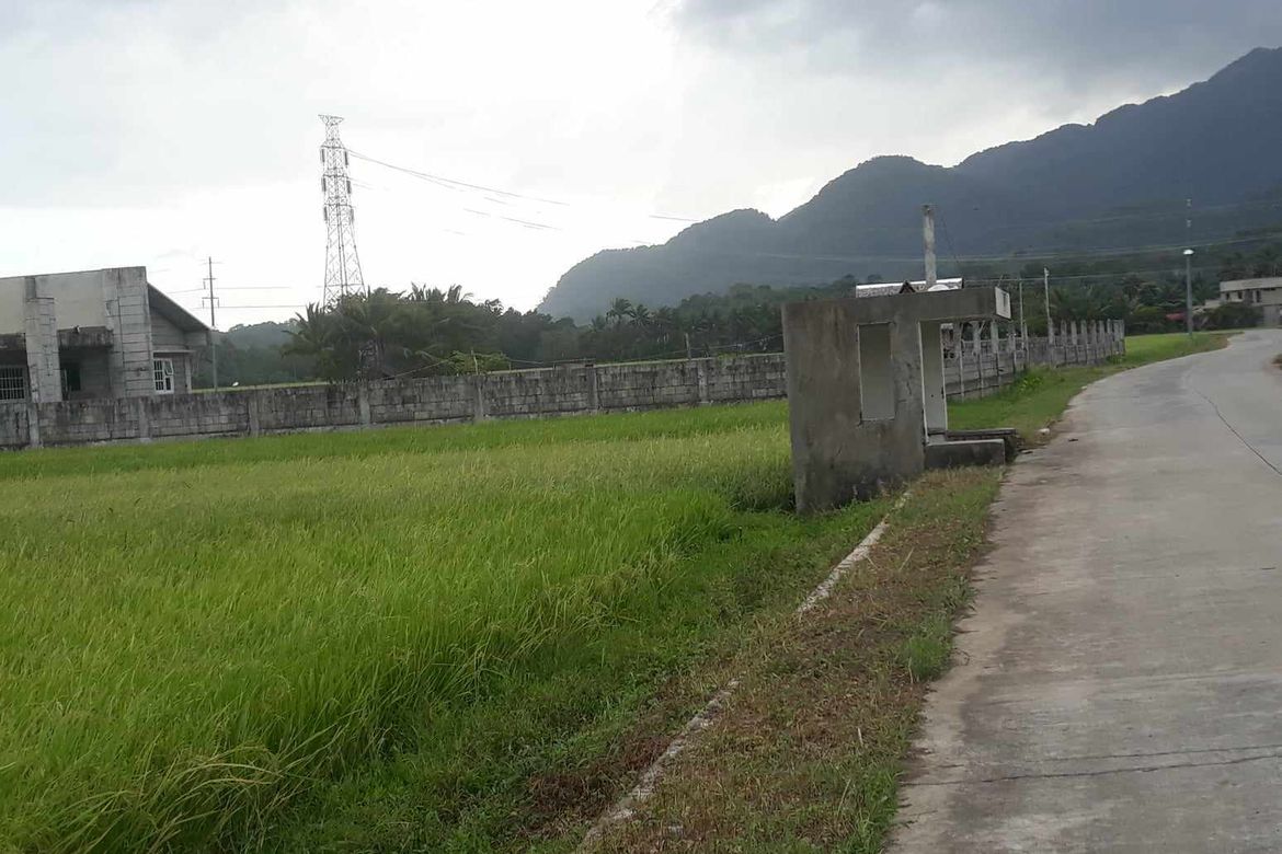 Land for Sale in Buenavista, Nabas, Aklan – photo 3