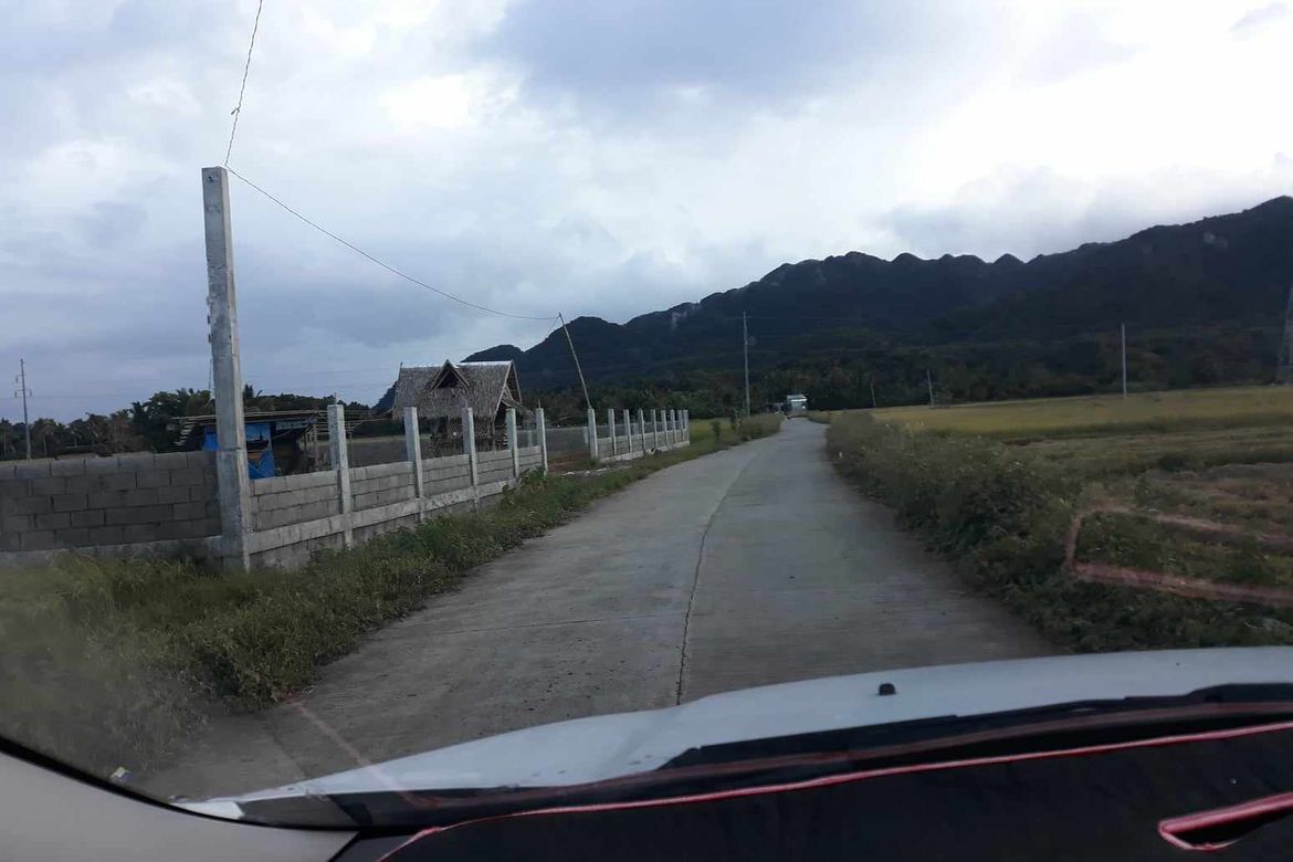 Land for Sale in Buenavista, Nabas, Aklan – photo 6