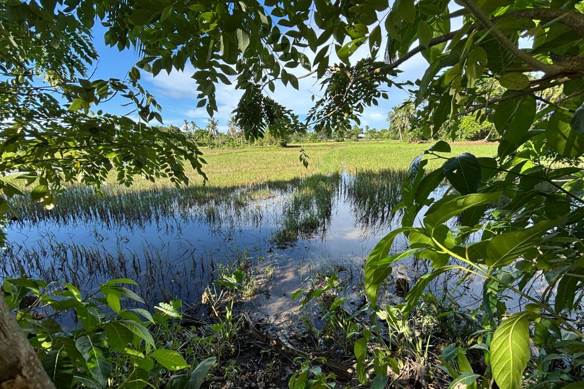 Land for Sale in Buenavista, Nabas, Aklan – photo 5