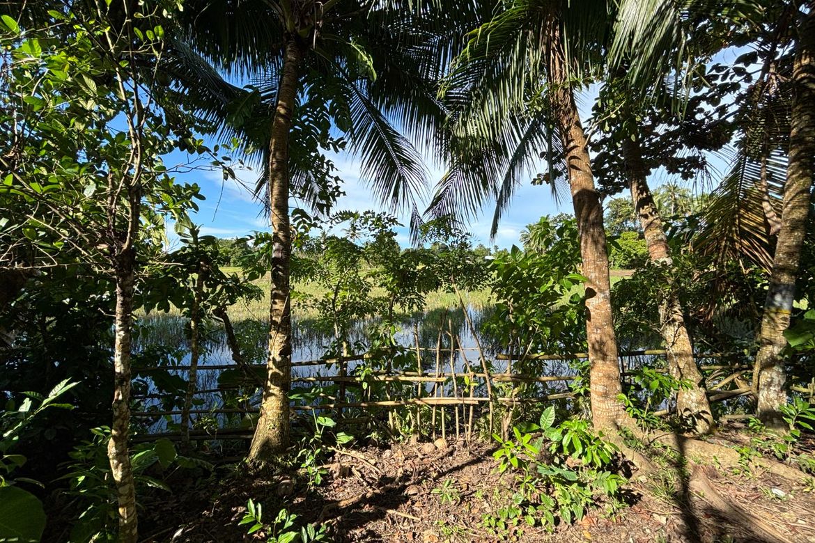 Land for Sale in Buenavista, Nabas, Aklan – photo 7