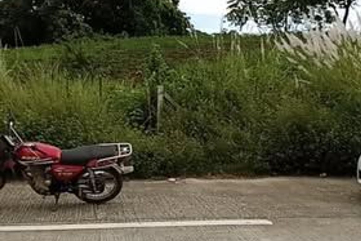 Land for Sale in Bueno, Capas, Tarlac – photo 2