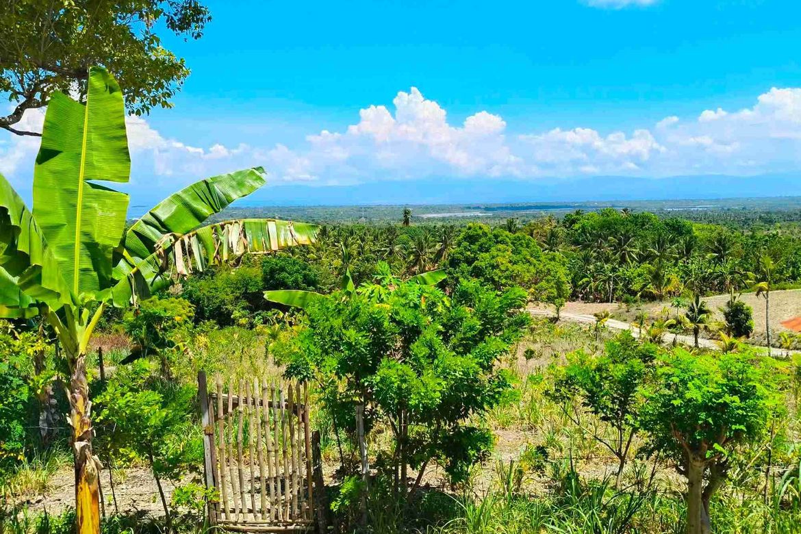 Land for Sale in Bugho, Moalboal, Cebu