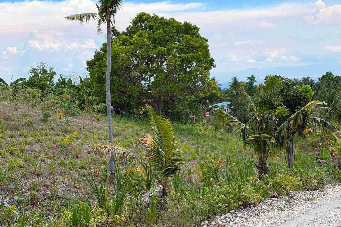 Land for Sale in Bugho, Moalboal, Cebu – photo 3