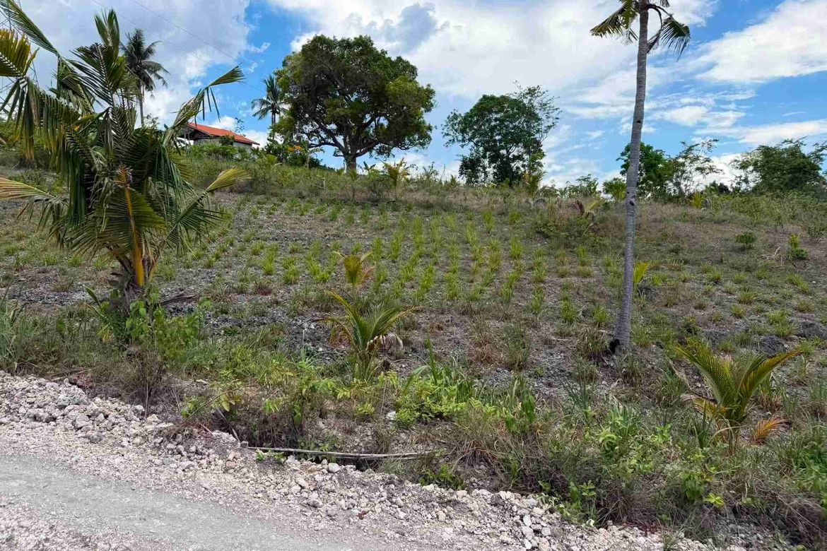 Land for Sale in Bugho, Moalboal, Cebu – photo 6