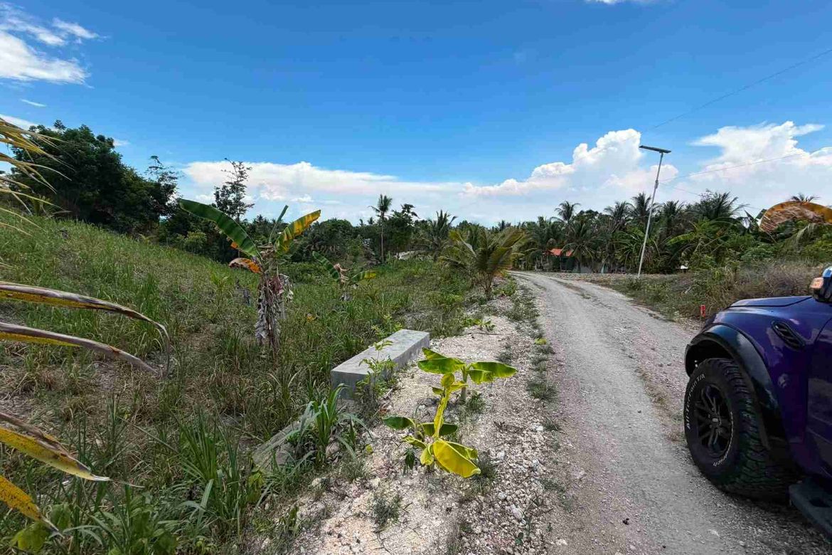 Land for Sale in Bugho, Moalboal, Cebu – photo 8