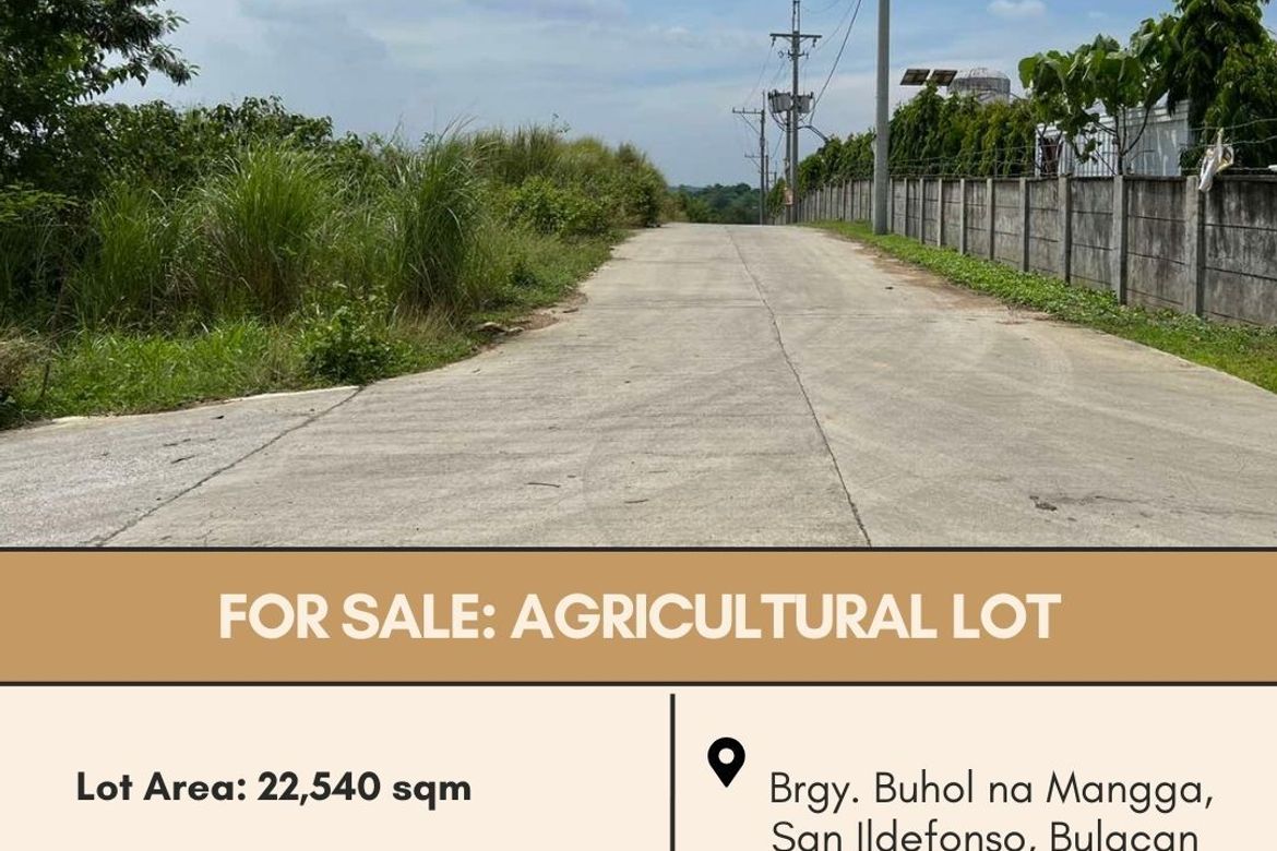 Land for Sale in Buhol Na Mangga, San Ildefonso, Bulacan