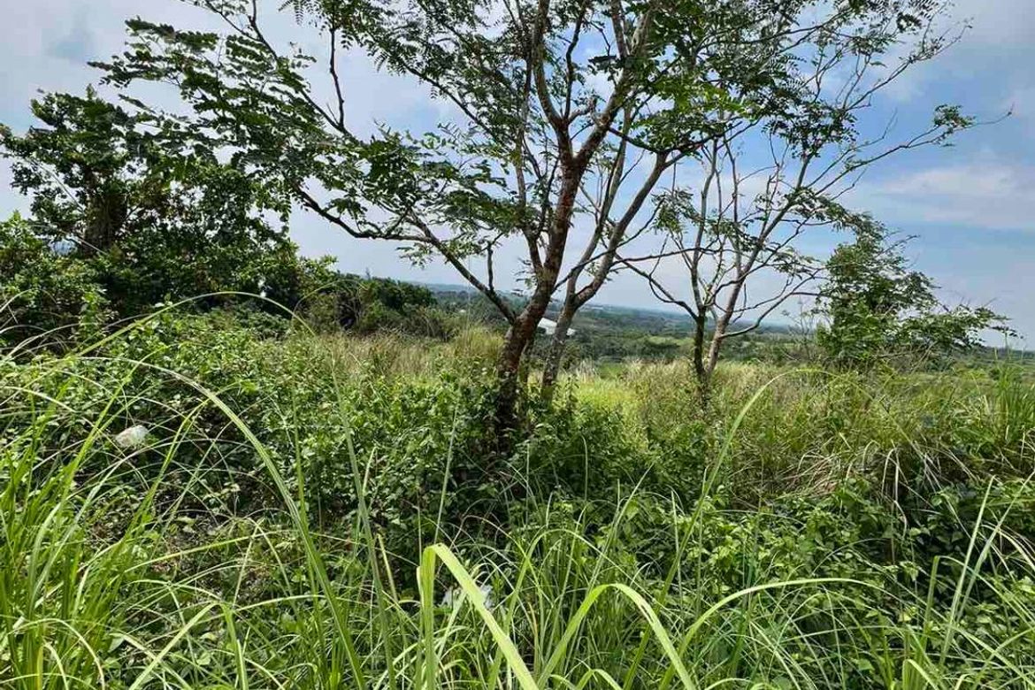 Land for Sale in Buhol Na Mangga, San Ildefonso, Bulacan – photo 6