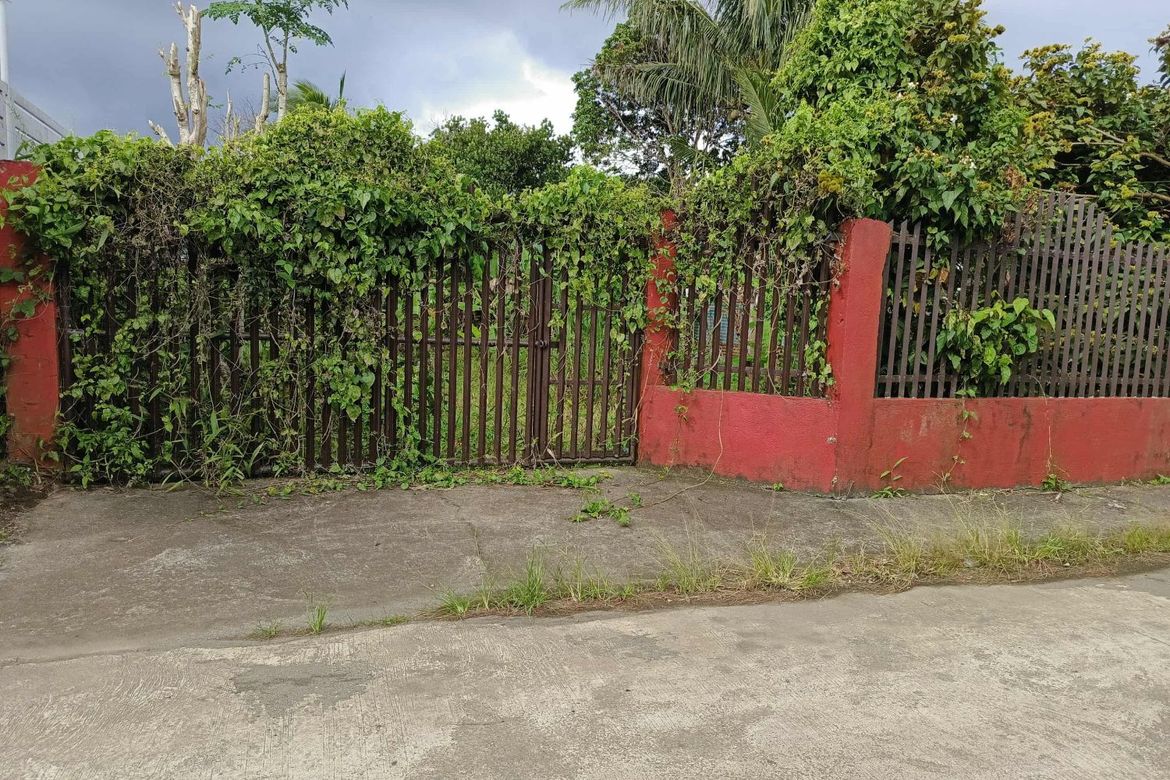 Land for Sale in Bukal, Mendez, Cavite – photo 2
