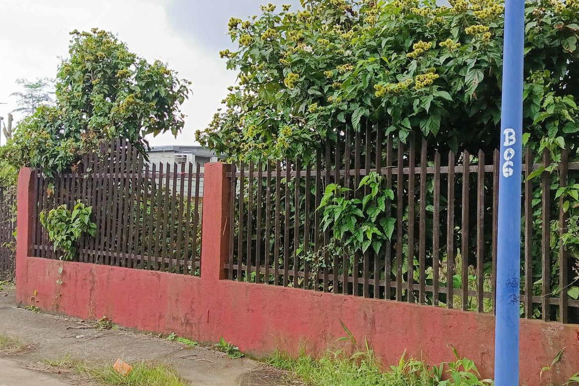 Land for Sale in Bukal, Mendez, Cavite – photo 3