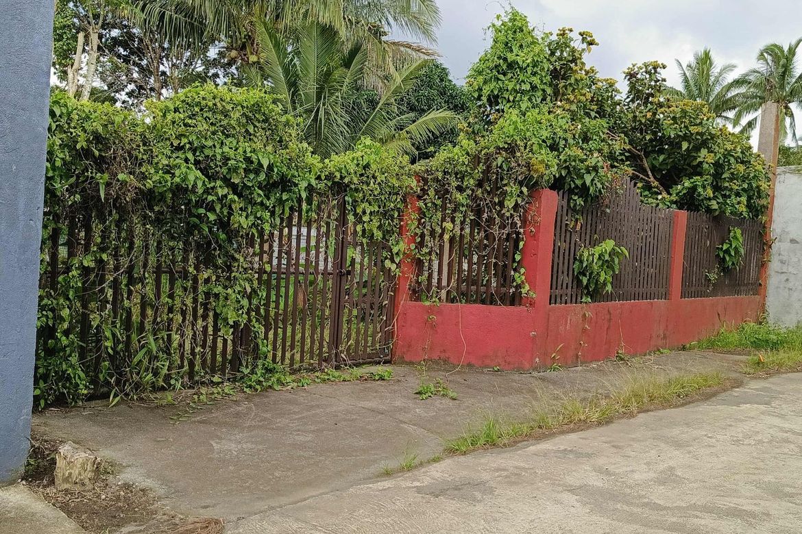 Land for Sale in Bukal, Mendez, Cavite – photo 4