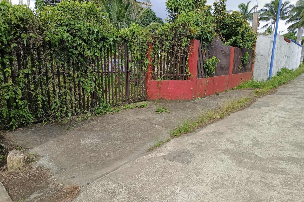 Land for Sale in Bukal, Mendez, Cavite – photo 6